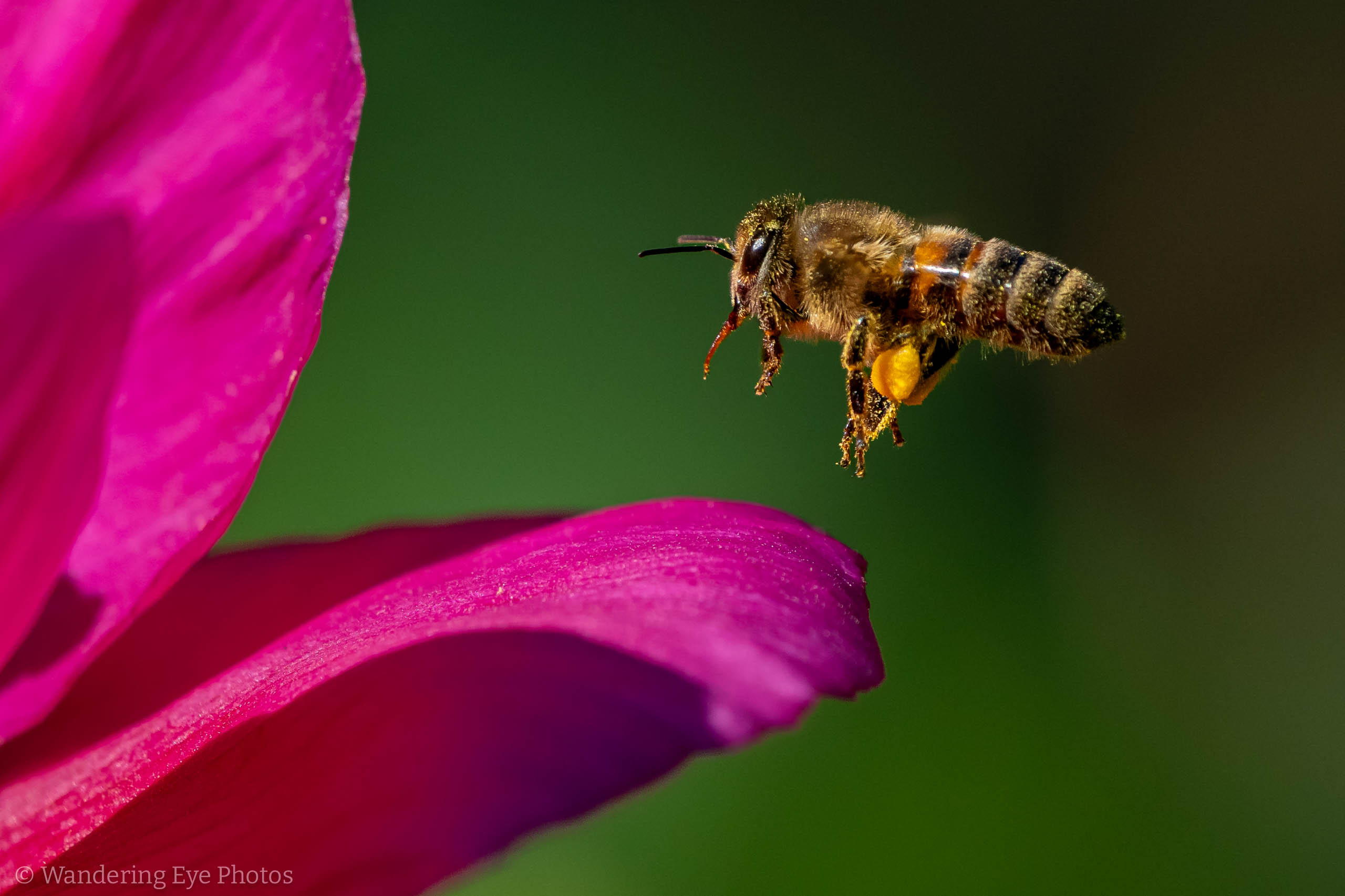 05.11 09.25.07   DSC09968